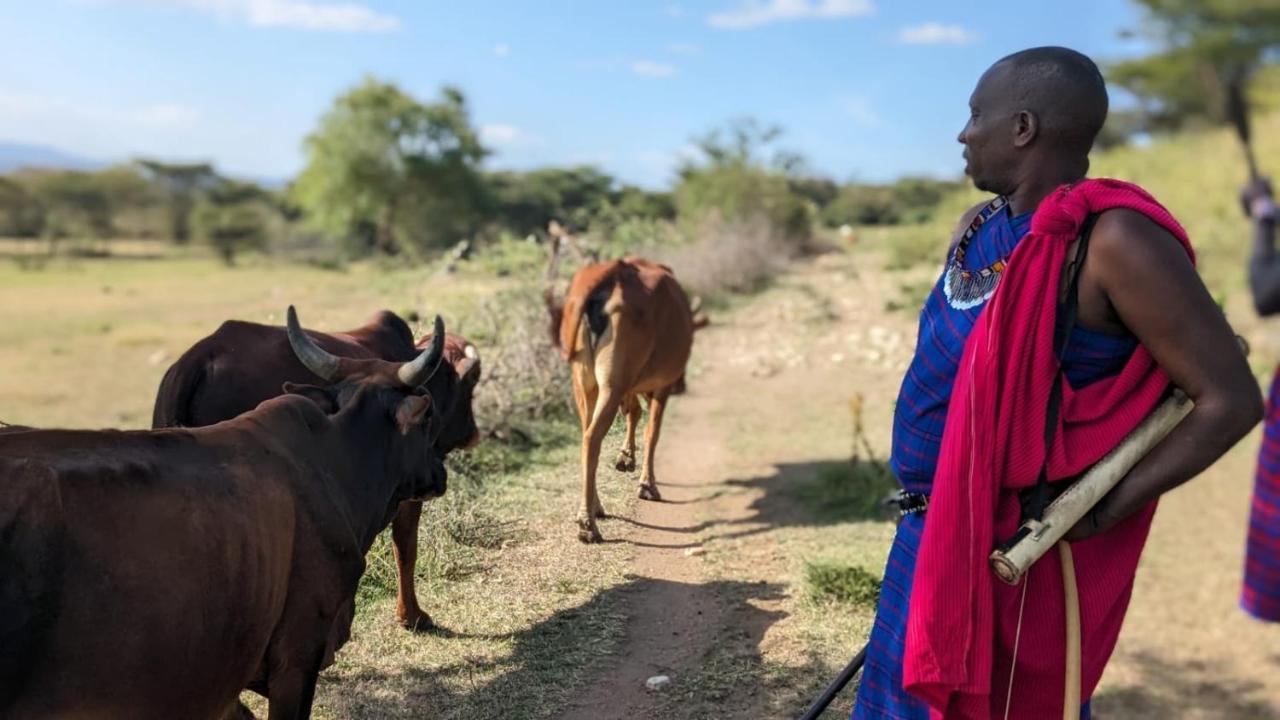 Hotel Leruk Maasai Mara Camp Sekenani Exteriér fotografie